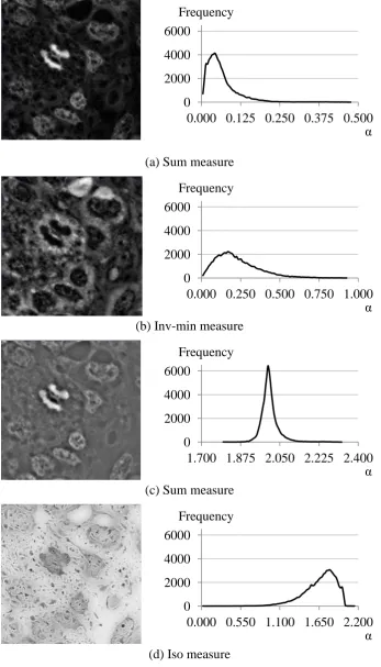Figure 3-4 The α-image (left) and its corresponding α-histogram (right) 