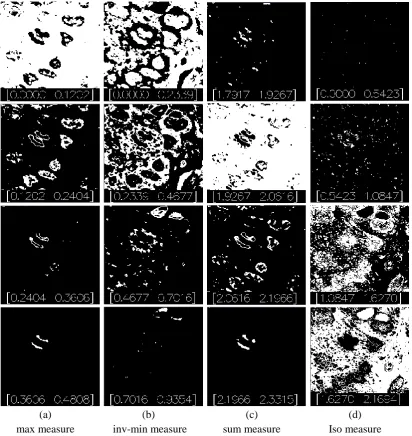 Figure 3-5 The binary images produced by thresholding the α-image at different α-series 