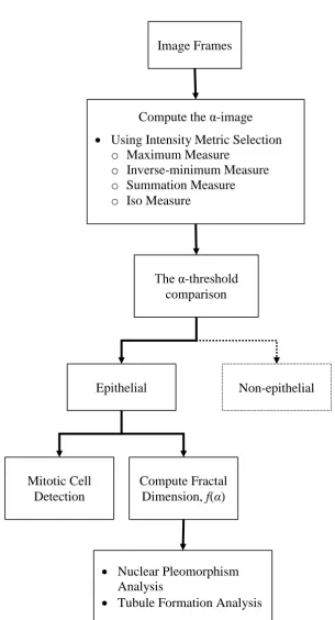 Figure 4-1 System overview of the multifractal analysis of the tissue images 
