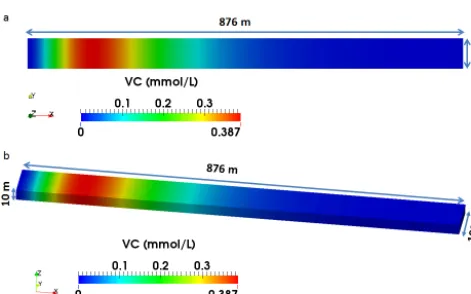 Figure 7. Concentration proﬁle of light isotope VC of the 2-D(b)model (a) and the 3-D model (b) at the end of the simulation