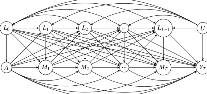 Figure 2: Causal Directed Acyclic Graph with exposure induced mediator-outcome confounders