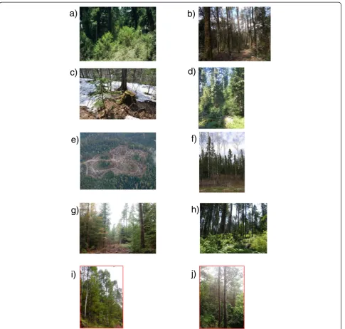 Figure 2 Examples of alternative silvicultural practices in different locations. (a)density thinning with gaps and leave islands in Douglas-fir stands in Oregon, andcrispula(e)establishment ofunderplanted between(b)Photo credit for Ethiopia, natural regene