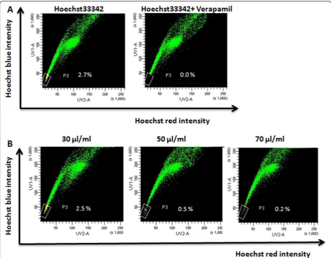 Figure 1 Analysis of SP cells by CKI treatmentaddition of Verapamil. The percentage of SP cells appeared as the Hoechst low fraction in the P3 is about 2.7%
