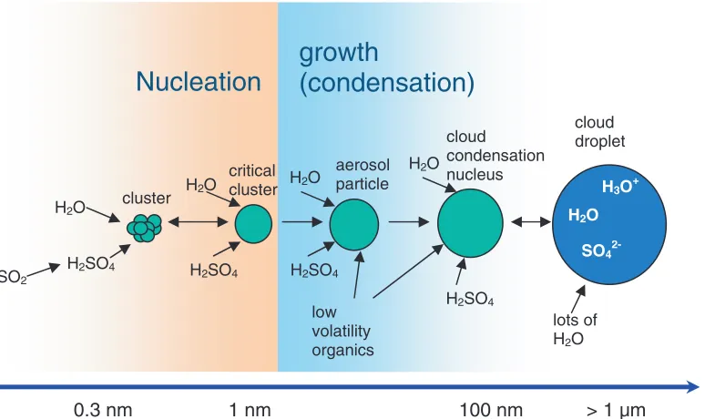 Fig. 2. Schematic representation of the nucleation and subsequent growth process for atmosphericthan the so-called critical cluster have formed, also other substances such as low-volatility organicscan take part in the growth process