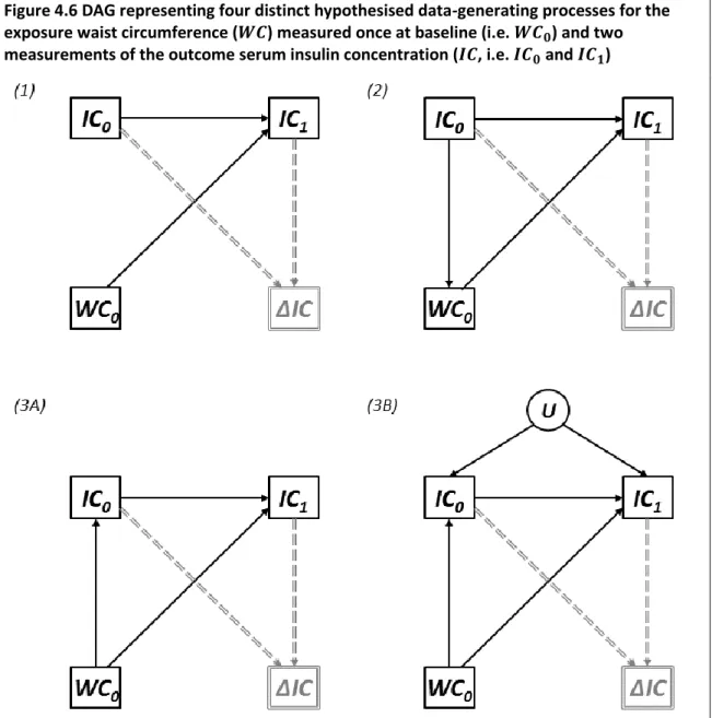 Figure 4.6 DAG representing four distinct hypothesised data-generating processes for the  exposure waist circumference (