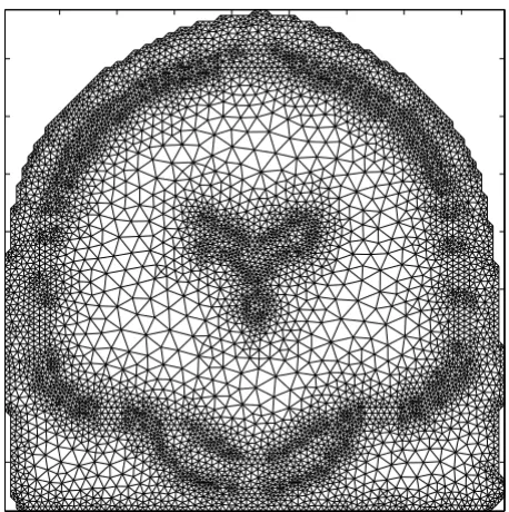 Figure 10Example mesh in 2D used in FEMExample mesh in 2D used in FEM. A digitization of the 2D coronal slice of the head