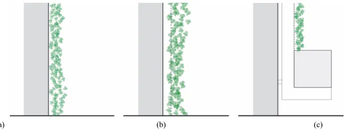 Figure 3sides that some climbing plants can grow 5 or 6 m high, 