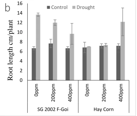 Figure 1: Shoot (a) and Root (b) length of maize varieties pre-soaked with 0ppm, 200ppm and 400ppm Proline grown under control and drought condition
