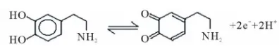 Figure 2. Electrooxidation of dopamine. 