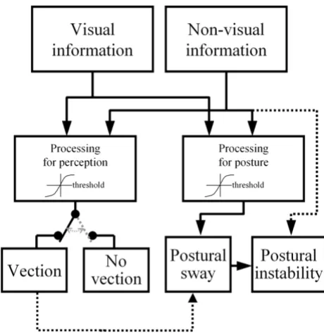 Figure 9vectionA model of the relationship between postural control and A model of the relationship between postural control and vection