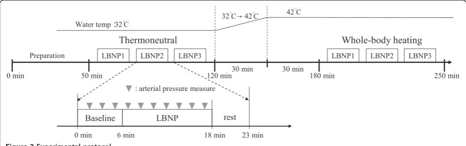 Figure 2 Experimental protocol.
