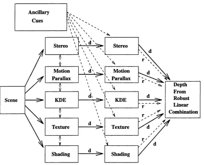 Figure 1.1. A schematic representation of the modified weak fusion model (after Landy et al, unpublished)