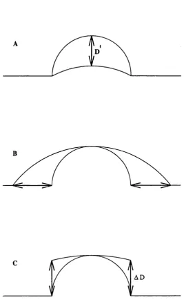 Figure 2.2. Normal cross-sections through spherical surfaces illustrating the parameters that could act 