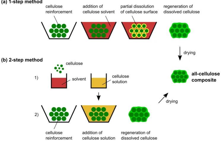Figure 2: Processing of ACCs via (a) the 1-step method and (b) the 2-step method(Adapted from Huber et al., 2012c).