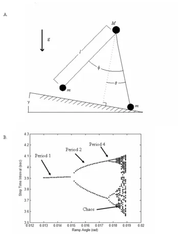 Figure 1the respective foot, M is the mass at the hip, (A) Passive dynamic walking model where φ is the angle of the swing leg, γ is the angle of inclination of the supporting surface, and g is gravity.θ is the angle of the stance leg, m is the point mass at (A) Passive dynamic walking model where φ is the angle of the swing leg, θ is the angle of the stance leg, m is the point mass at 