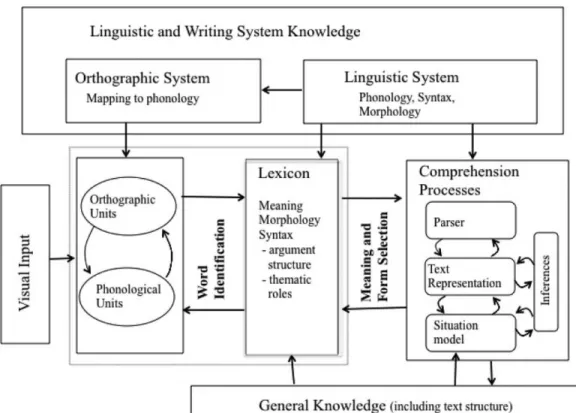 Figure 1. The Reading Systems Framework (Perfetti &amp; Stafura, 2014) 