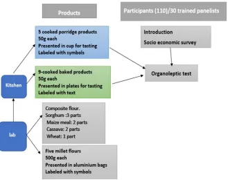 Figure 1. Study design  