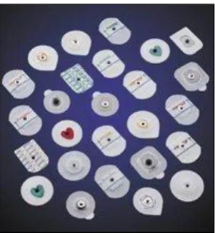 Figure 2.3 The various type of wet electrodes that may used to detect the EMG signal. 