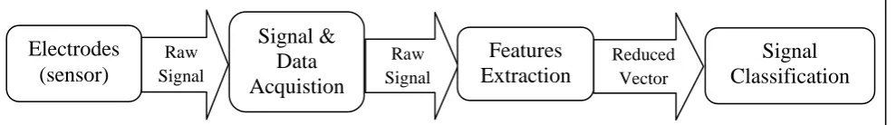 Figure 2.4 Flow of Signal Processing 