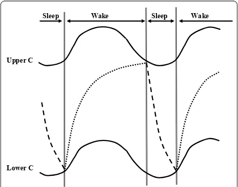 Figure 2 Times of sleep and wake (top, separated by thedouble vertical lines)curves (Upper C and Lower C)