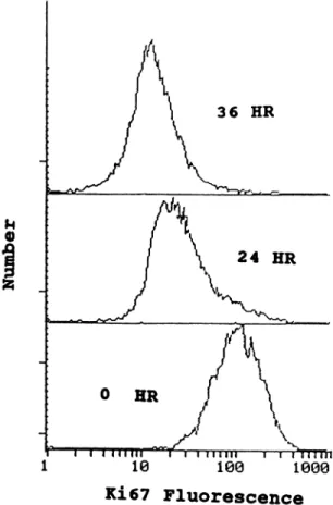 Fig. 3. Flow cytometric analysis of porportion of TO (500 nst) treated and untreated ThU-Pr! cells expressing proliferative cell cycle nuclear protein detected by Ki67 mono clonal antibody