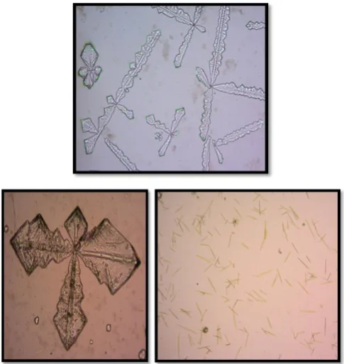 Figure 6: Barium Nitrate: Rectangular, cubic, shape 