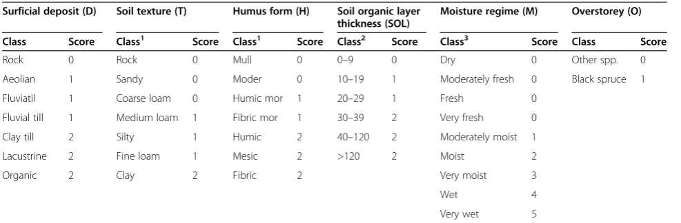 Table 2 Paludification scores for static and dynamic stand scale factors