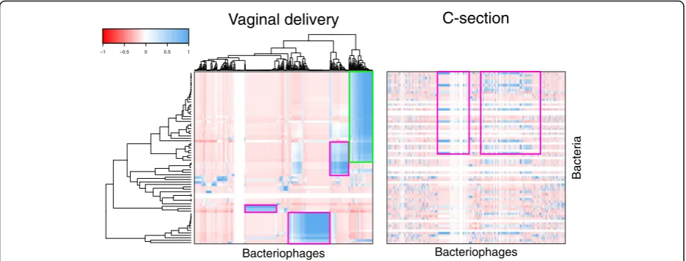 Fig. 5 Transkingdom interaction between bacteria and bacteriophage. Correlation of bacterial ASVs and viral contigs shared between infants andmothers