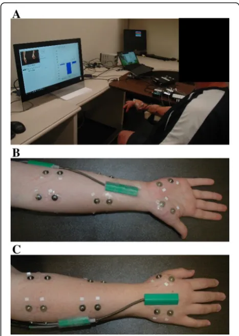 Fig. 1 Experimental setup. a Subjects were prompted by a computerto perform each hand grasp in 13 wrist positions and received wristposition visual feedback