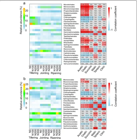 Fig. 3 Heatmap of the dominant bacterial orders (left) and Pearson correlation analysis between the dominant bacterial orders and organicacids (right) in the rhizosphere (a) and root (b) samples