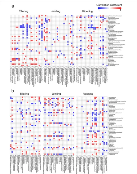 Fig. 5 Correlation pattern of the dominant (relative abundance > 1%) bacterial and fungal genera in rhizosphere (method; only significant correlations, either positive (blue squares) or negative (red squares) (a) and root (b) samples atthree growth stages 