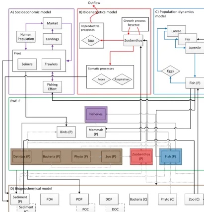 Figure 7. Potentialities provided by the EwE-F approach. Coloured arrows denote ﬂows speciﬁc to the integrating Fortran models