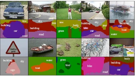 Figure ‎2.7 Semantic segmentation examples [19] 