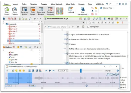 Figure 2. MAXQDA Software Output 