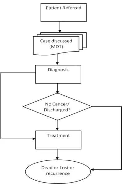 Figure 5-1   The process of recommending treatments to patients referred to the MDT 