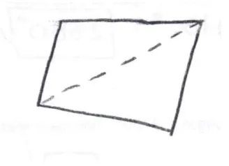 Figure 24: Anne's counterexample of a "bad" definition of a parallelogram 