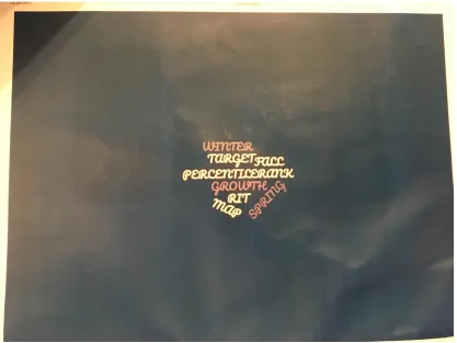 Figure 6: Thea’s visual representation is a word image she created on the computer.   