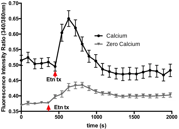 Figure 3.5.2 Mitochondrial potential of PC3 cells before and after Etn treatment.  Moment of hyperpolarization, followed by sustained depolarization resulted from the addition of 