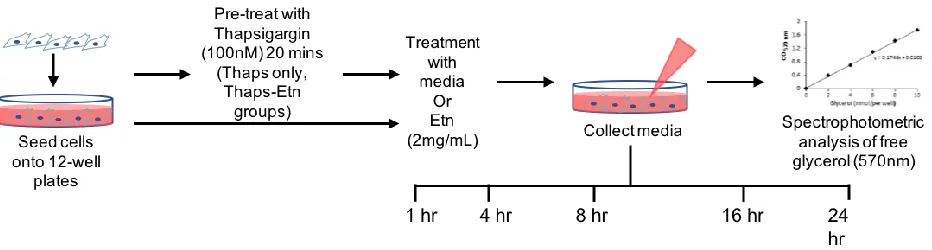 Figure 4.4.1 Schematic representation of methodology used in Aim 3.  