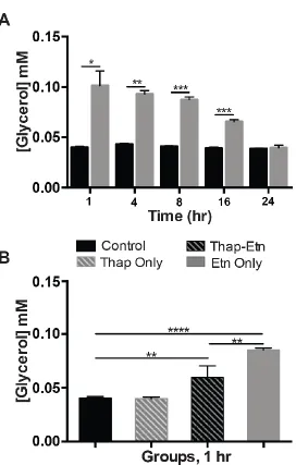 Figure 4.4.1 Quantification of free glycerol in control (black) and treated (gray) cells as a measure of lipolysis