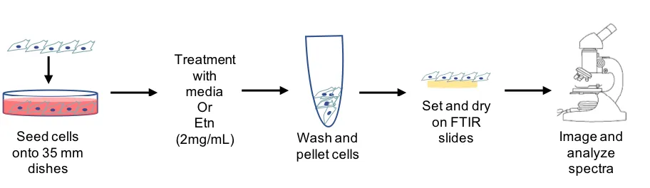 Figure 5.4.1 Schematic representation of methodology used for Aim 4  