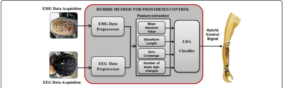 Fig. 3 Schematic procedure for prosthesis control based on sEMG and EEG