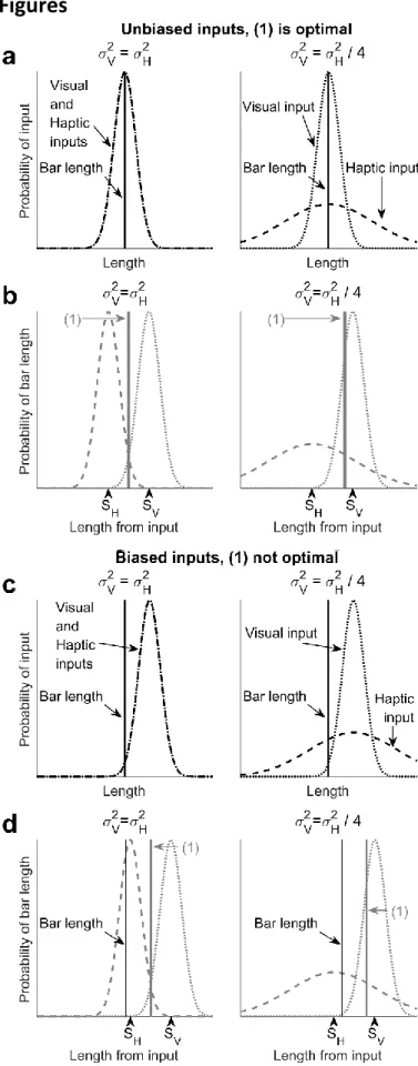 Figure 1 Equation (1) is an optimal estimate of  the  bar  length  when  inputs  are  normally  distributed around the actual bar length and  is sub-optimal when inputs are biased (based  on analyses from (Ernst and Banks 2002))