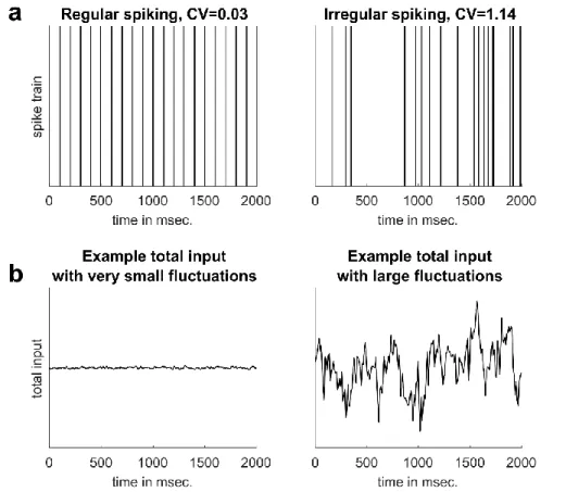 Figure 2 Simulated examples. (a) Spike trains of regularly and irregularly spiking neurons