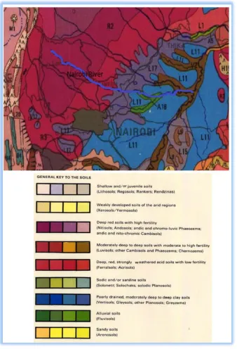 Figure 5 Soil survey map 