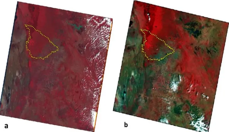 Figure 9 Multispectral Landsat images used in the study  