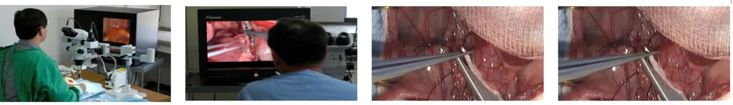 Figure 8  Scenes of the surgical test and video sample images: (a), (b) scenes of the animal test; (c), (d) left and right image samples in the HD stereoscopic video.