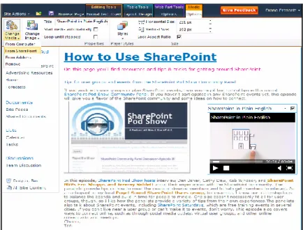 Figure 07c: “Wikis everywhere” – Easy editing  User Blogs and Team Blogs 