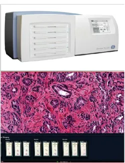 Fig 1. Image analysis using whole slide imaging 