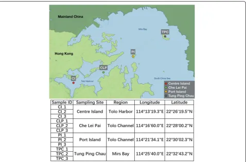 Fig. 1 Sampling information. A map of Tolo Channel (including Tolo Harbour) and Mirs Bay shows the four sampling sites marked in circles ofdifferent colors: Centre Island, Che Lei Pai, Port Island, and Tung Ping Chau